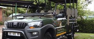 3 Day Glamping Kruger Safari With Air-con (South Africa)