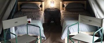 4 Day Glamping Kruger Safari With Air-con (South Africa)