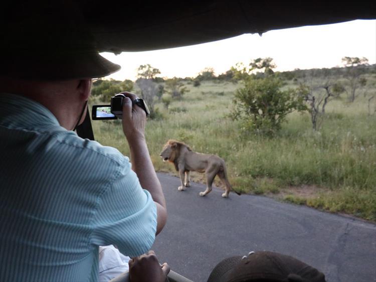 5 Day Glamping Kruger Safari With Air-con (South Africa)
