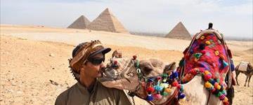 Pyramids Day Tour (Egypt)