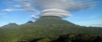 9 Days Gorilla & Coffee Tour (Rwanda)
