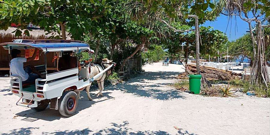 Underwater Wonders Of North Gili (Indonesia)