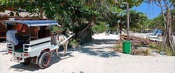 Underwater Wonders Of North Gili (Indonesia)