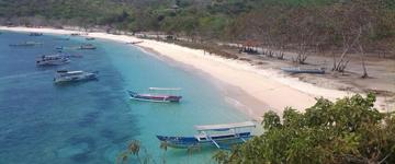 Pink Marine Tour (Indonesia)