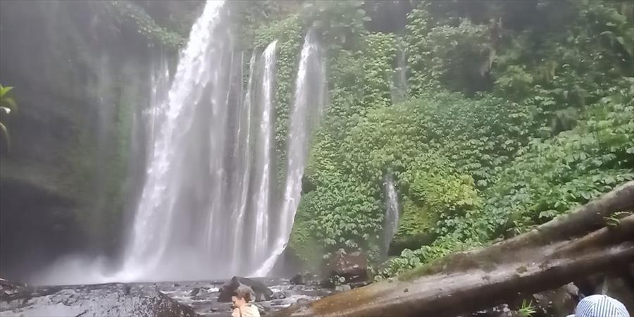 Netrang Water Fall North Waterfall Tour from A$93.76 | Travel with Exploriada