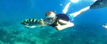 Amazing Snorkeling At Blue Lagoon Bali (Indonesia)