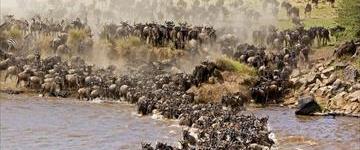 Great Serengeti Migration Safari (Tanzania)