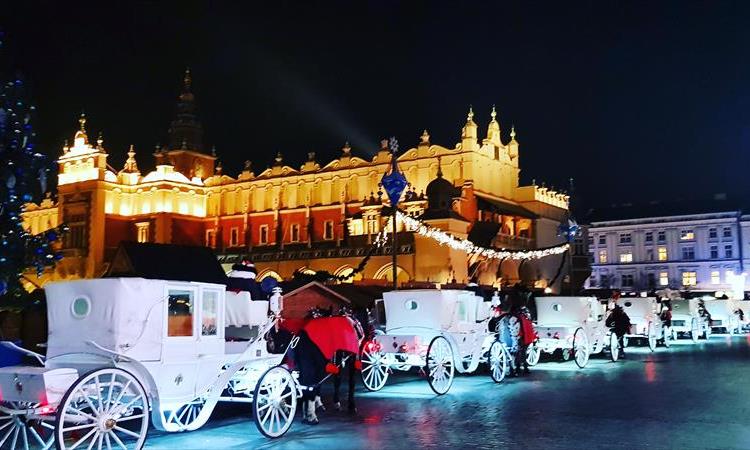 Krakow Private Walking Tour (Poland)