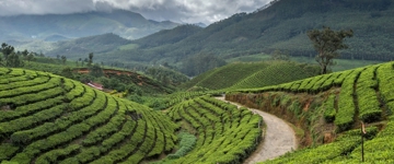 Highlights Of Kerala Tour From Kochi (India)