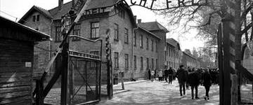Auschwitz Guided Tour (Poland)