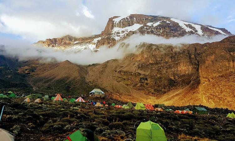 7 Days Kilimanjaro Trekking Via Machame Scenic Route (Tanzania)