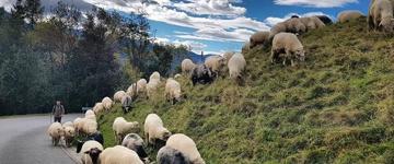 Zakopane Private Tour (Poland)