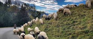 Zakopane Private Tour (Poland)