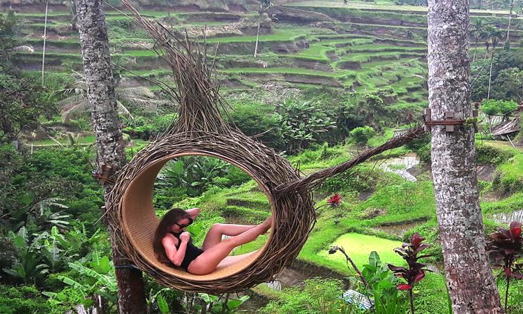 Incredible Day Trip To Ubud (Indonesia)