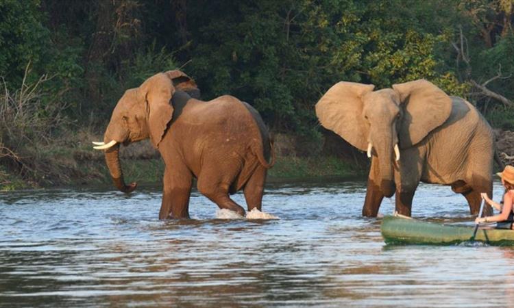 Holiday & Tours In Zambia