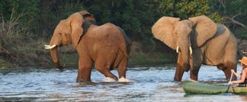 Holiday & Tours In Zambia