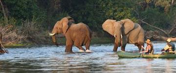 Holiday & Tours In Zambia