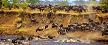 Eco tour: 9 Days Budget Camping Wildebeest Migration Tanzania Safari Tour: Tarangire, Serengeti, Ngorongoro & Lake Manyara (Tanzania)