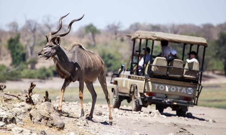 Victoria Falls And Chobe National Park Combo (Zimbabwe)