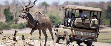 Victoria Falls And Chobe National Park Combo (Zimbabwe)