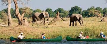 Zimbabwe & Botswana Safari: Hwange National Park, Victoria Falls And Chobe National Park (Zimbabwe)