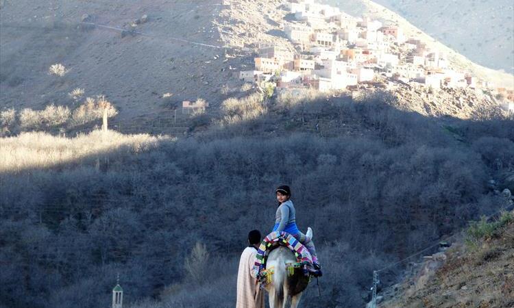 Eco tour: Escape From Marrakech To Traditional Morocco (Morocco)