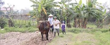 Eco tour: Hanoi Culture Rice Farming Tour (Vietnam)
