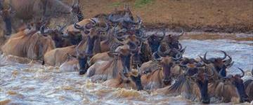 6 Days Big Five Kenya Safari (Kenya)