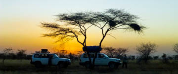Awash National Park
