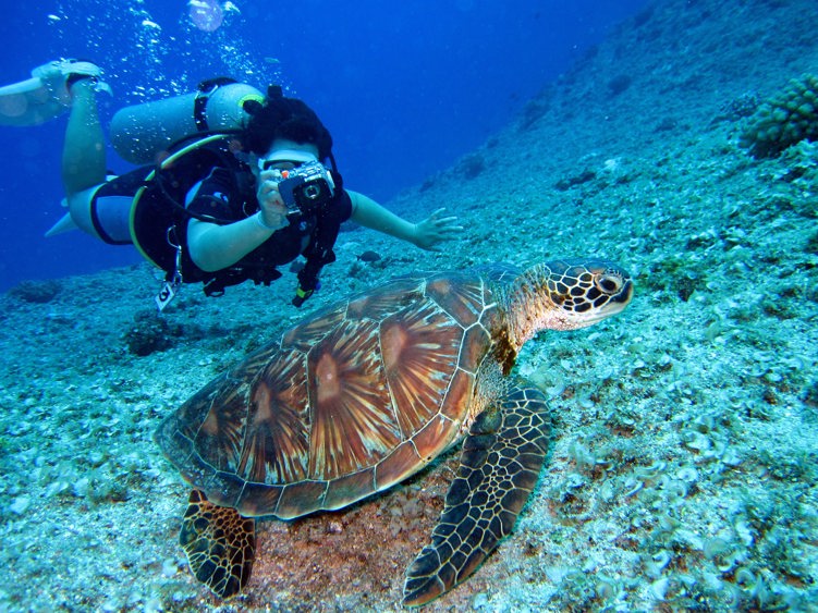 Scuba diving in Cancun