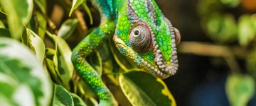 Tsingy of Bemaraha Tours