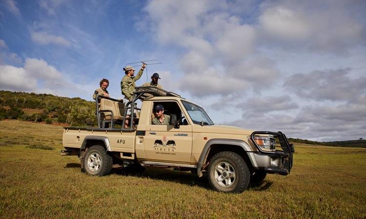 Eco tour: Eco Volunteer Program In Wild And Marine Life Conservation (South Africa)