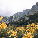 Top 5 Travel Destinations for Black Friday