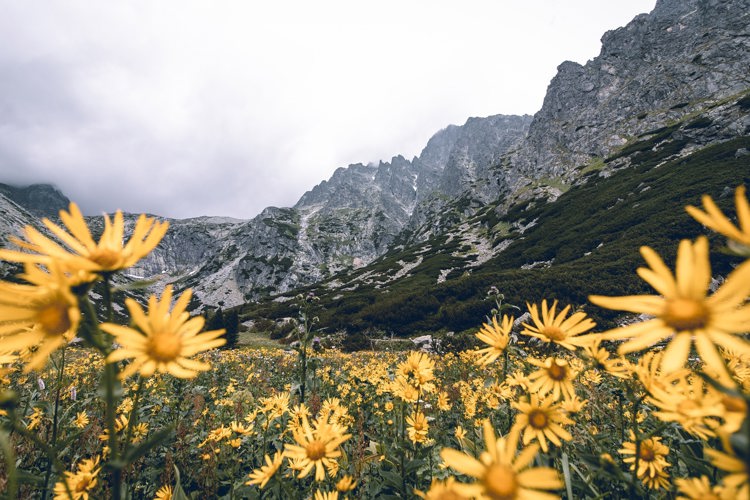 Tatras mountains, Poland