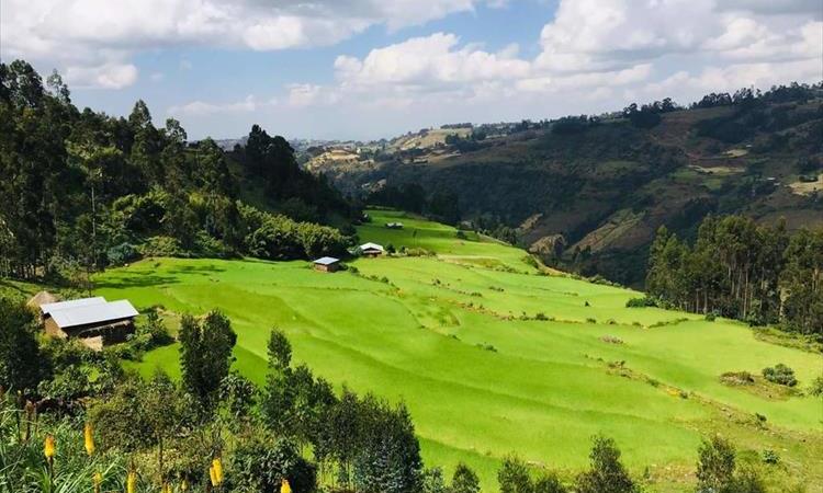 Eco tour: Choke Mountain Trekking (Ethiopia)