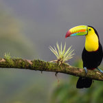 Top 8 Eco Tour Activities in Costa Rica