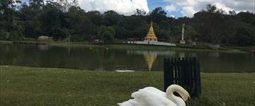 British Hill Station Pyin Oo Lwin: Excursion From Mandalay (Myanmar)