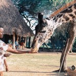 World-Class Wildlife Experiences