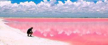 Coloradas And Rio Lagartos (Mexico)