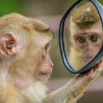 Explore the world from the comfort of your home