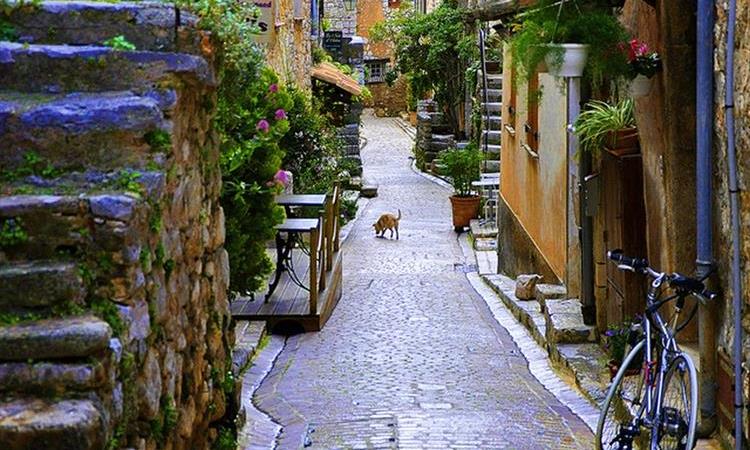 French Riviera & Medieval Villages Full Day Private Tour (France)