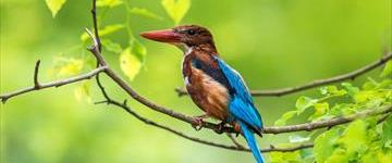 Wild Xp Sri Lanka (Sri Lanka)