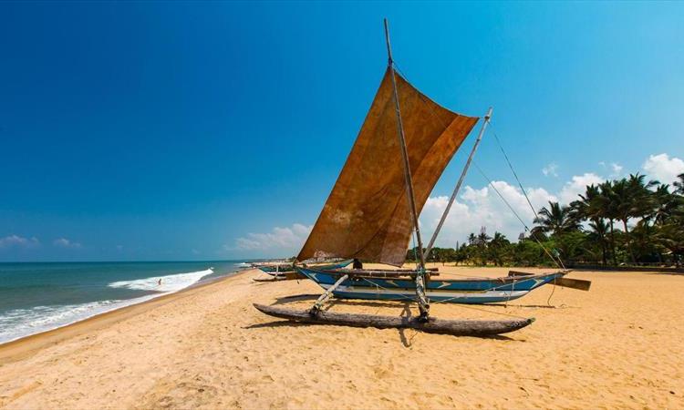 Active Cultural Holiday & Adventure in Sri Lanka (Sri Lanka)