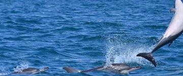 Beach XP - 5 Nights / 6 Days (Sri Lanka)