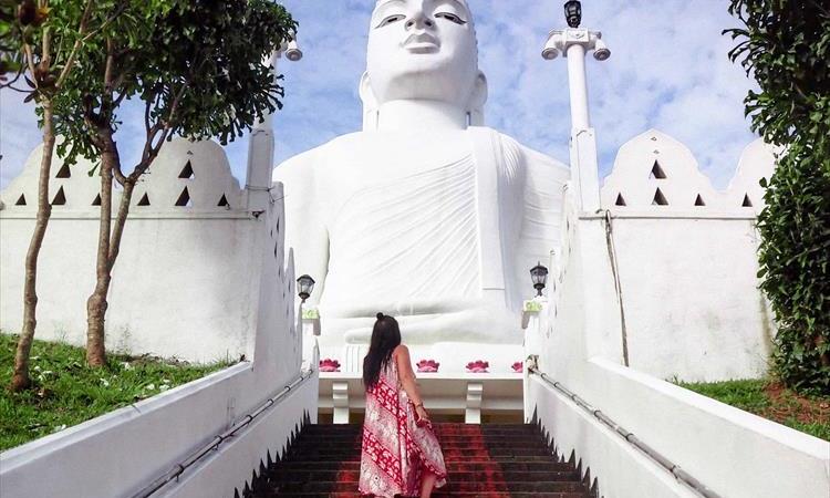 7 Day Nature & Wildlife Tour In Sri Lanka (Sri Lanka)