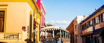 Merida City Tour By Bus (Mexico)