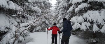 Into The White: A Snowshoe Exploration (Romania)
