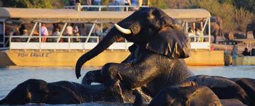 Victoria Falls To The Okavango Delta Fly-in Safari (Zimbabwe)