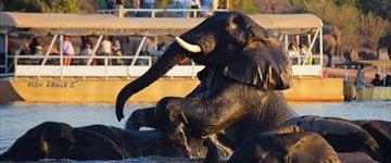 Eco tour: Victoria Falls To The Okavango Delta Fly-in Safari (Zimbabwe)