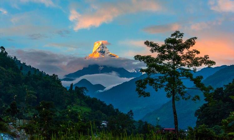 Eco tour: Annapurna Base Camp 14 Days Trek (Nepal)